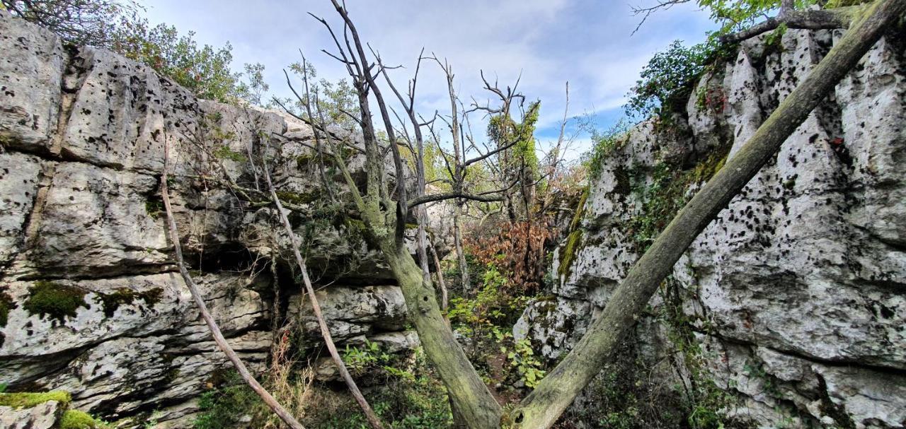 La Grange - Chez Gisi - Fuer Naturliebhaber, Abenteurer Und Geniesser Rocles  Zewnętrze zdjęcie