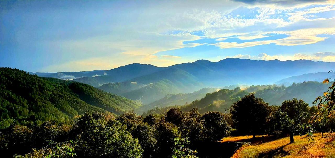 La Grange - Chez Gisi - Fuer Naturliebhaber, Abenteurer Und Geniesser Rocles  Zewnętrze zdjęcie